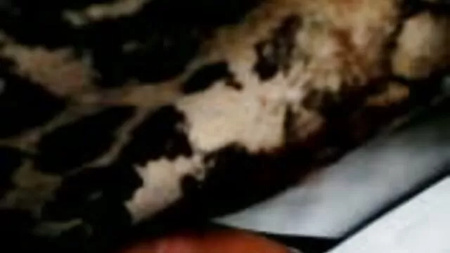 WhiteBoxxx-Junge Rumänische Babe Romantische Fetisch Sex Mit Ihrem reife milf pornos Großen Schwanz Freund